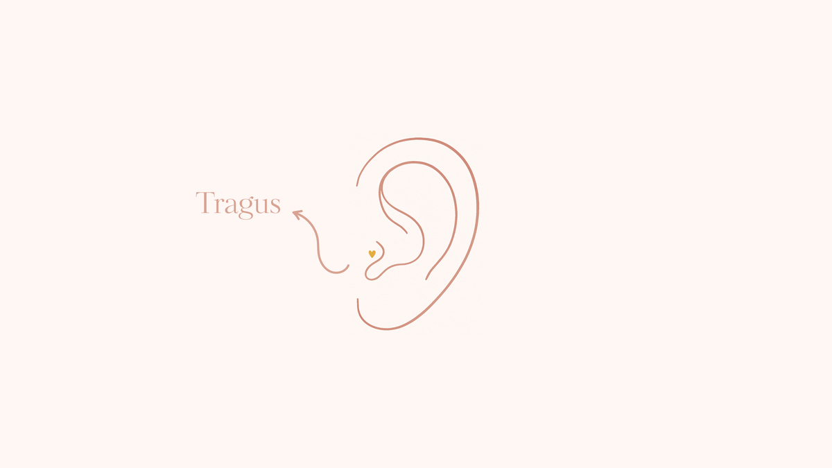 Le guide 2025 du piercing tragus : douleur, cicatrisation, entretien