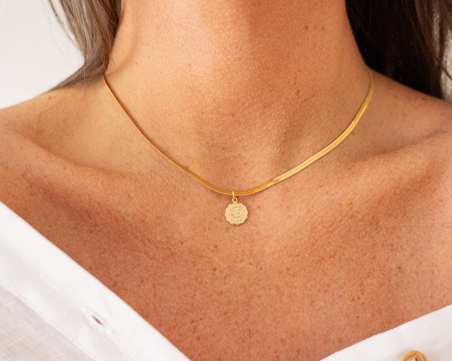 Collection | Signes astrologiques