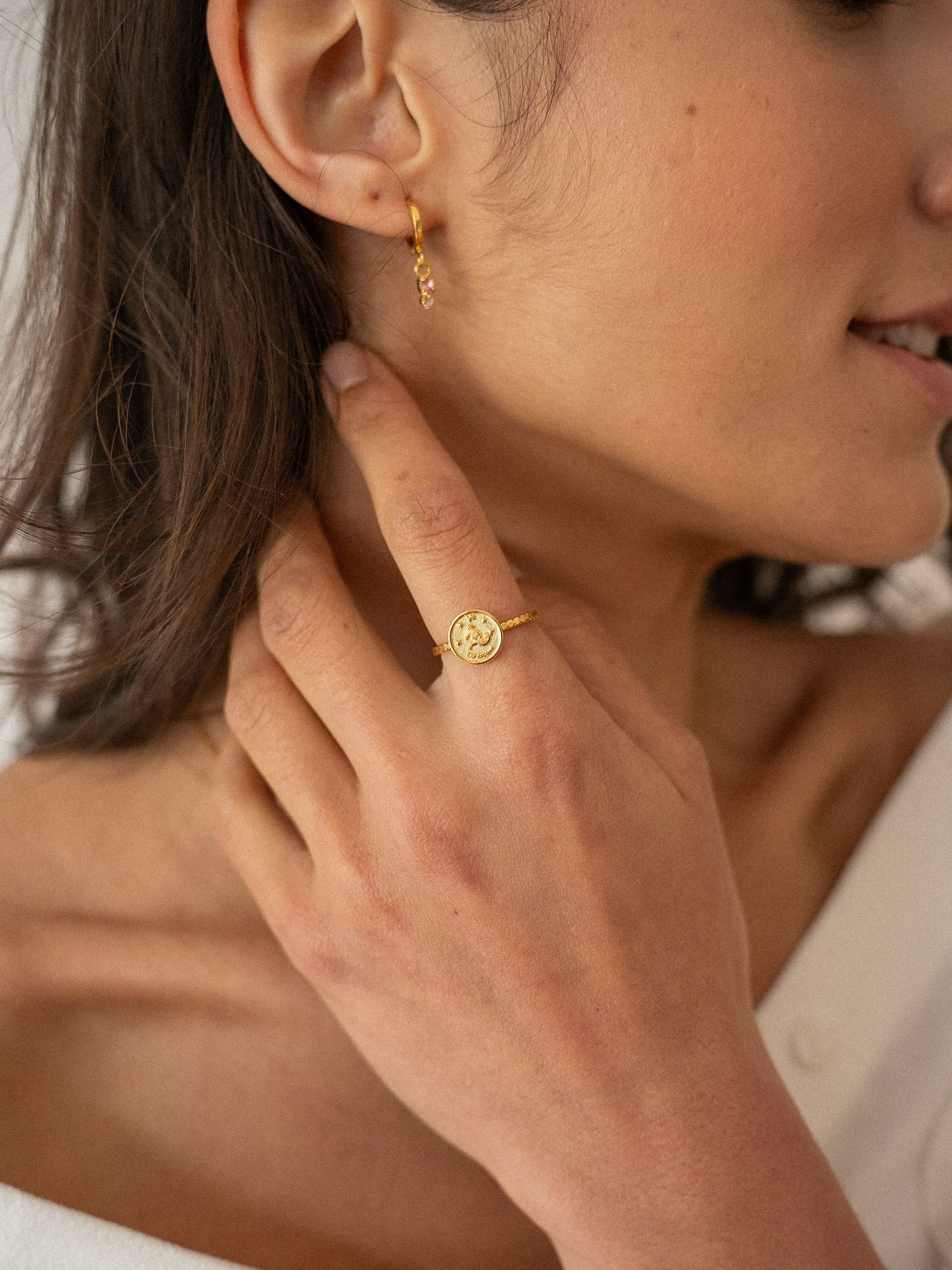 Collection | Signe Astro - Capricorne