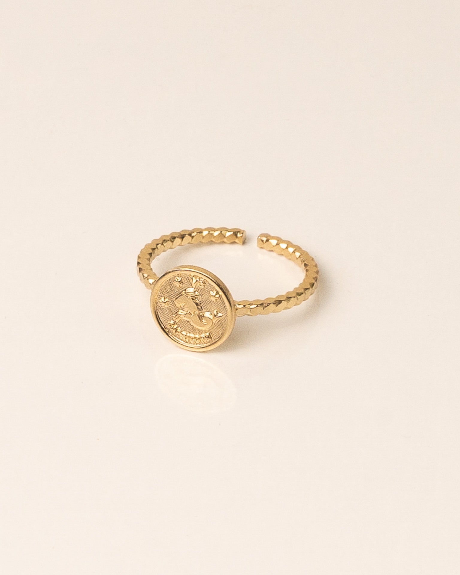 Bague pour femme plaqué or ajustable médaillon signe astrologique capricorne