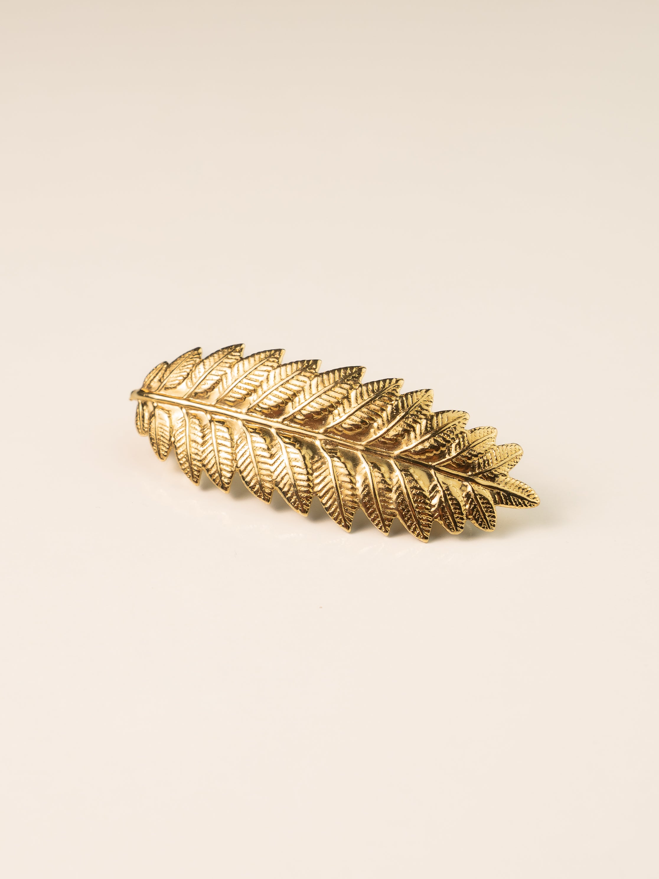 Barrette Ambroise