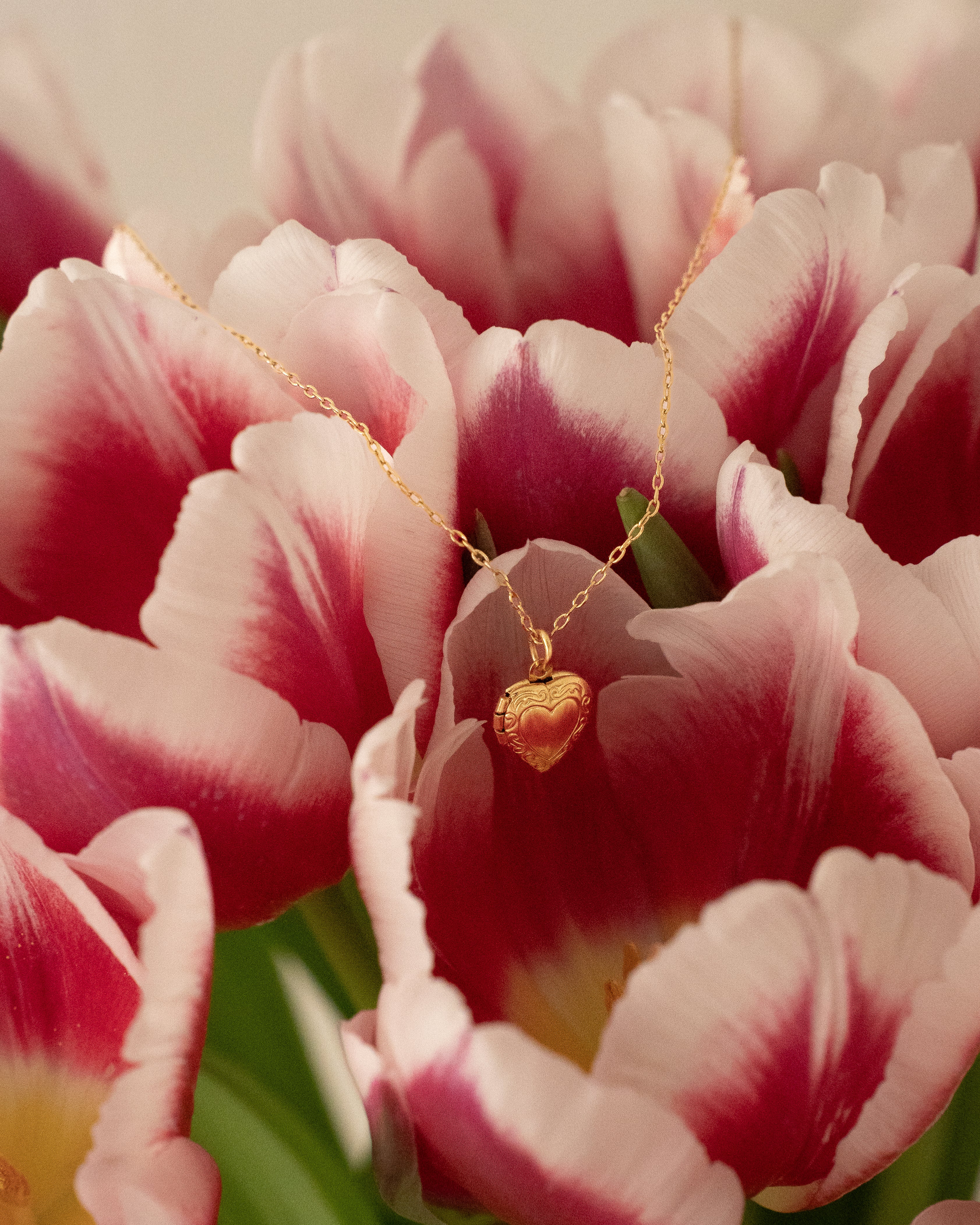 Collier Médaillon - L'Amoureux