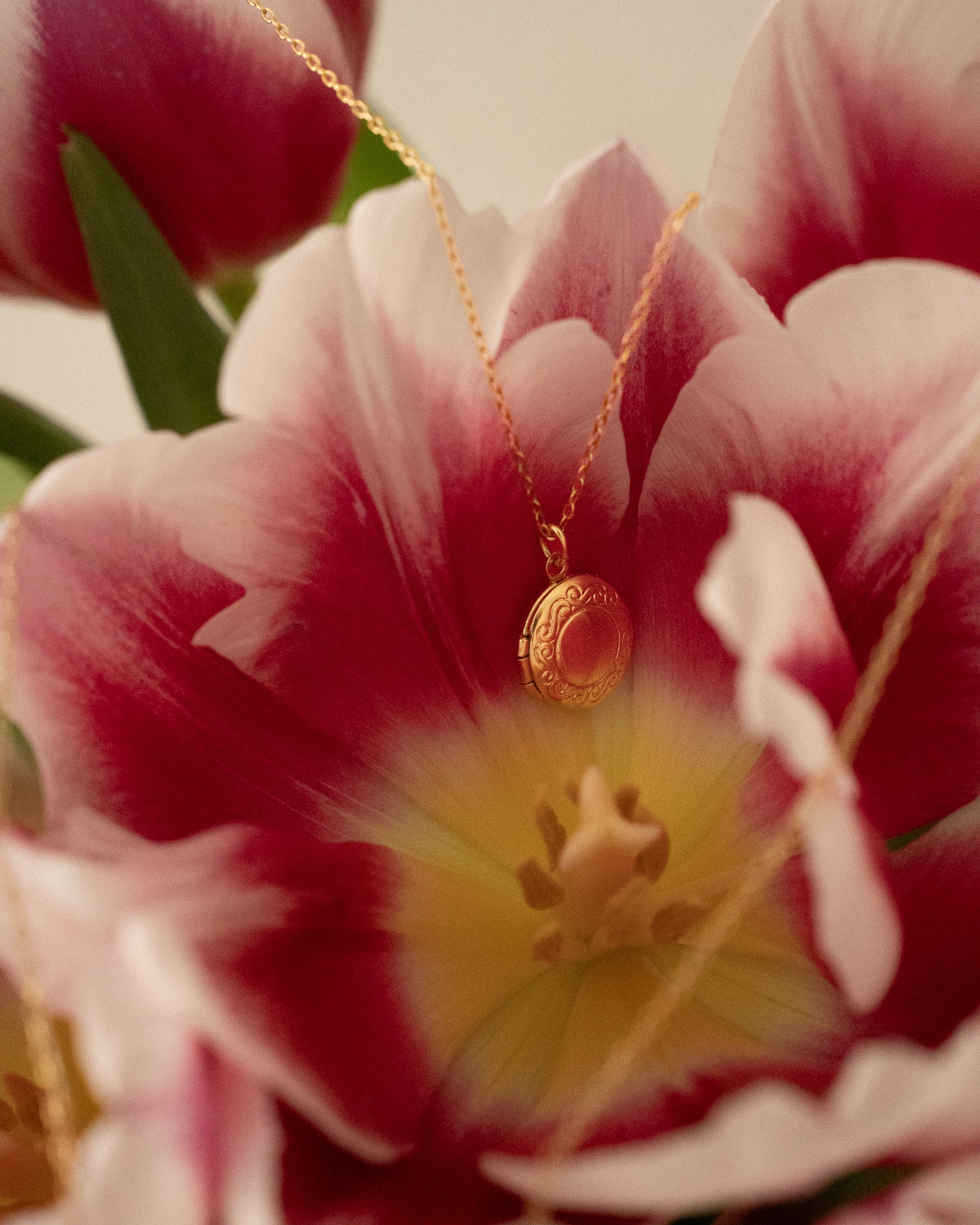 Collier Médaillon - Le Confident